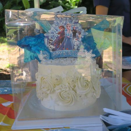 Clear Cake Box